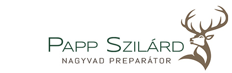 Papp Szilárd Preparátor Logo